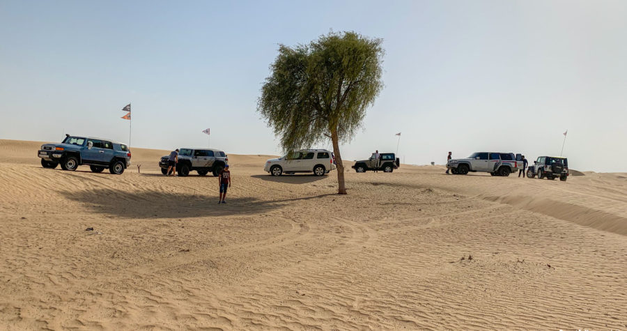Fresh-Start-Trip DesertFellas.com